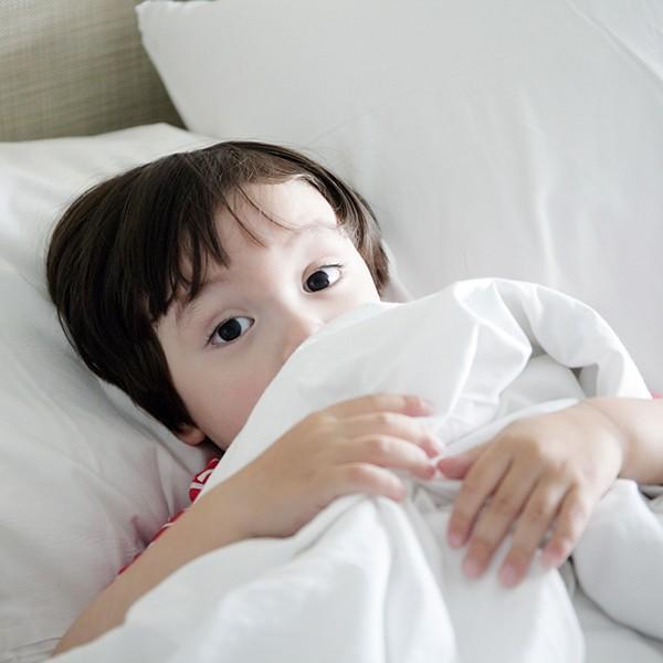 グースリー 掛け布団 シングルの人気商品 通販 価格比較 価格 Com