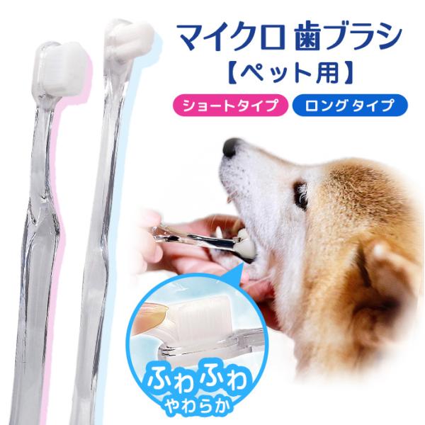 【ペット用】選べる2タイプ！ 超極細毛　マイクロ歯ブラシ歯茎と歯を守る！ 羽毛の様な優しい健康ハブラシ0.08mmの極細毛がぎっしり！通常歯ブラシの約8〜10倍歯や歯茎を傷つけることなく歯のすみずみの汚れまで落とします。柄の材質：PP毛の材...