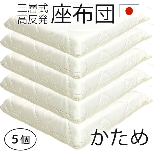 �y5�z������ �O�w�� ������ ���z�c 55×59���� ������7cm �y�� ������ �d�� �ł� �V�[�h�N�b�V���� (����55×59 �{�� 50×54cm)