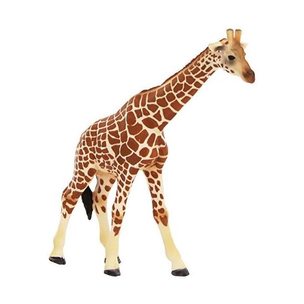 シュライヒ ワイルドライフ キリン メス フィギュア 143 Pymr Go Th