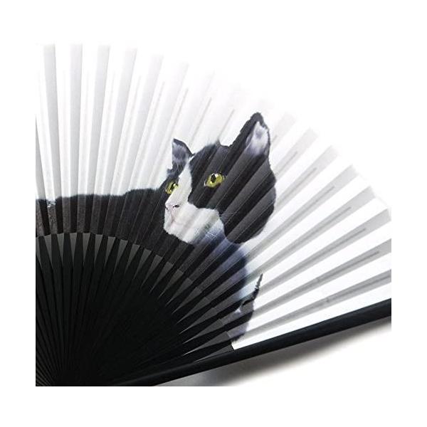 扇子 イラスト猫扇子 猫 香り付き 35間 7 5寸 22 5ｃｍ 5651 ハチワレ Www Arilab Com Tr Index Php