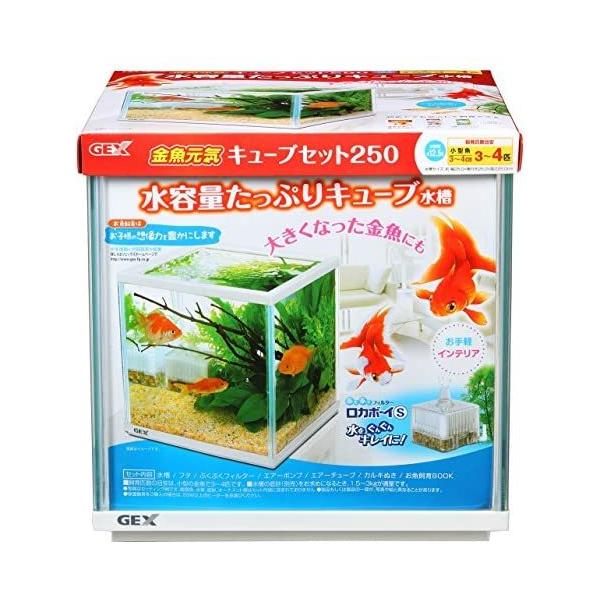 ジェックス 金魚元気 キューブセット250 無し Myk Uoc17j4fi Shining雅 通販 Yahoo ショッピング