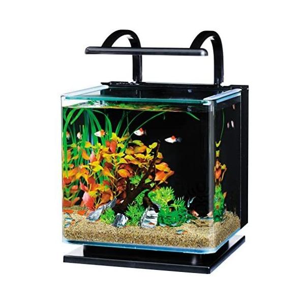 テトラ Tetra リビングキューブ 12 オールインワン水槽 淡水 海水用 容量 約12l 無 約12l Myk Vja06u0aa Shining雅 通販 Yahoo ショッピング