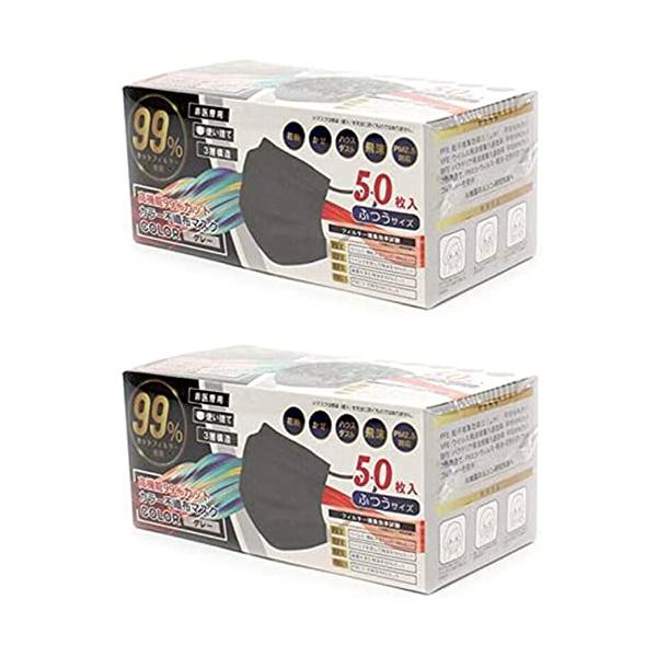 他サイト： 使い捨てマスク カラー不織布マスク ふつうサイズ　50枚入り 2箱 グレーの商品画像