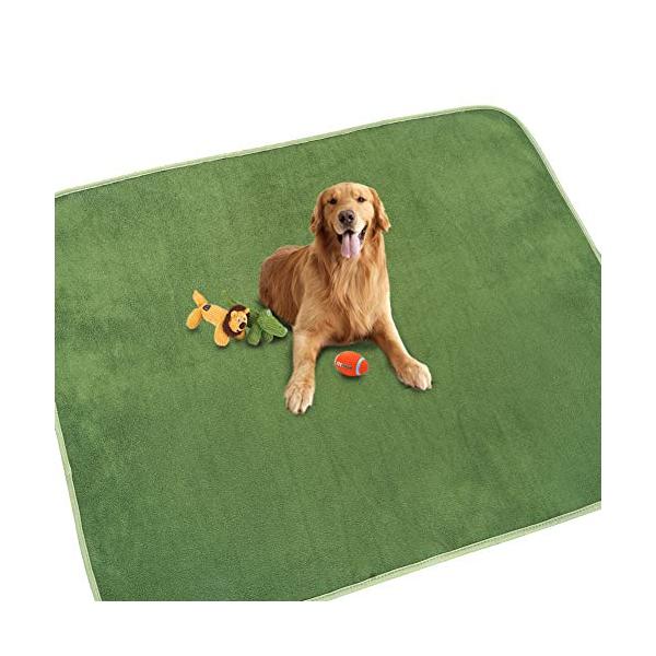 他サイト： 犬 猫用洗えるペットシーツ　おしっこパッド　ペット用　下敷き マット　速乾 滑り止め加工 介護シーツ　洗濯機で丸洗い　繰り返し利用可能（グリーンの商品画像