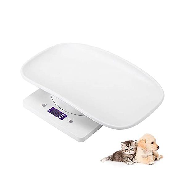 パッケージ個数:1