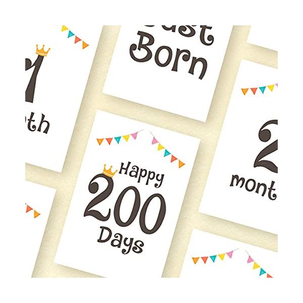 タイプDマルチカラー/15個 x 1/-・Style:タイプD・現役ママのデザイナーが監修したマンスリーカード。シンプルなデザインは男の子、女の子ともにお使いいただけます。・お誕生から1歳までの15枚セット。100×148mm（はがきサイズ...