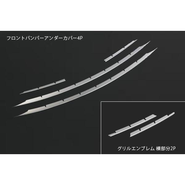 ݌ɏ tHOv񑕒ԗpZVW30 vEX  ʃXeXtgop[A_[Jo[ 4P+OJo[2P