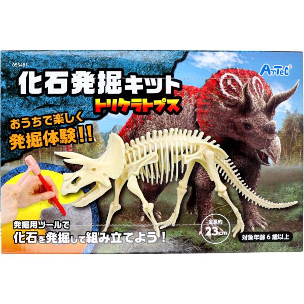 化石発掘キット トリケラトプス 1セット : シャイニングストアEXPRESS
