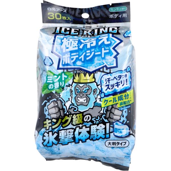 アイスノン ICE KING(アイスキング) 極冷えボディシート 大判タイプ