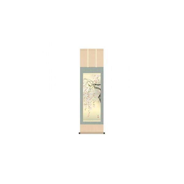 掛軸 森山観月桜花 44.5×164cm KZ2MA2-088 : ベッド・ソファ専門 掛軸 森山観月桜花 44.5×164cm KZ2MA2-088 : ベッド・ソファ専門