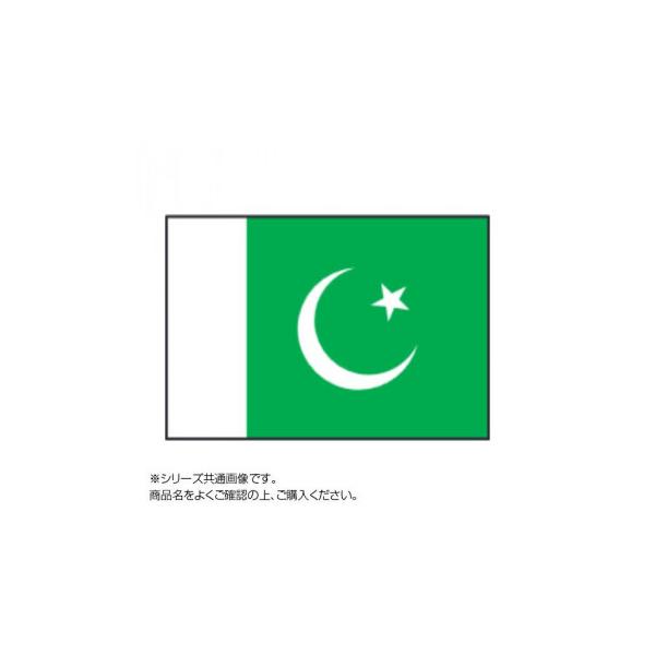 世界の国旗 万国旗 パキスタン 140×210cm :ab-1529461:シャイニング 