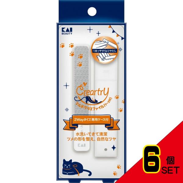 【JANコード】4901601079500【商品仕様】【表示成分】本体：ガラス、ケース：PP【注意事項】乳幼児の手が届かない安全な場所に保管してください。衝撃をあたえたり、落としたりしたら割れることがあります。STEP2の面は、ツメが伸びス...