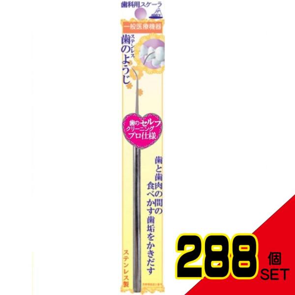 shiningstore-next_no-27621-288