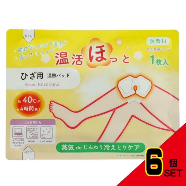 【JANコード】4977648447114【商品仕様】【表示成分】発熱体：鉄粉含有　肌側不織布：ポリエステル・ポリプロピレン・ポリエチレン【注意事項】●磁気ネックレス・磁気パッチ・湿布薬・お灸等と併用しないでください。●温度と持続時間は、使...