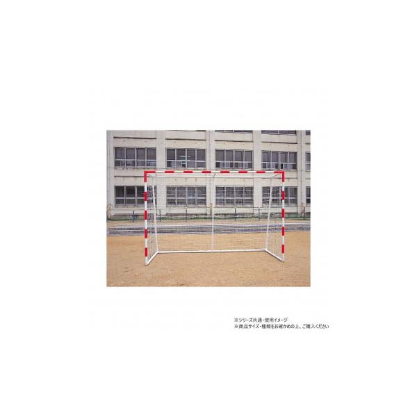 (個人宅配送不可)DANNO　淡野製作所　ハンドボール 360 検定品(ホワイト)　D-6602W　(送料無料)