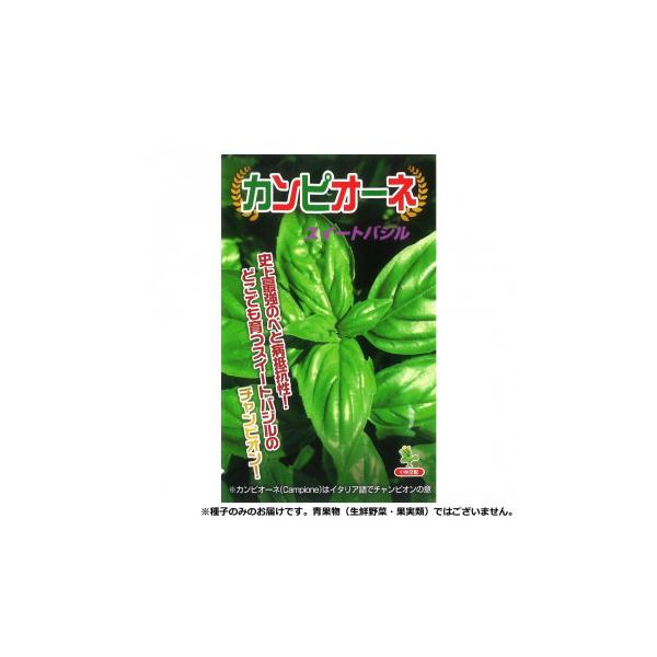 小林種苗 バジル種子 カンピオーネ 5821 小袋(0.5ml)