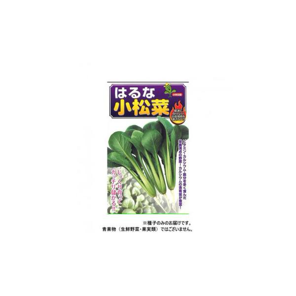 小林種苗 コマツナ種子 はるな 6 2dl