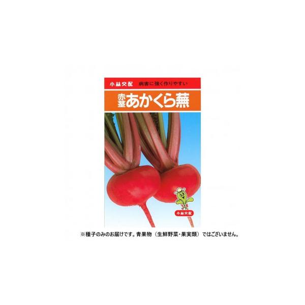 小林種苗 カブ種子 赤茎あかくら 10 小袋(3ml)
