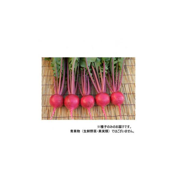 小林種苗 カブ種子 赤茎あかくら2号 5453 20ml