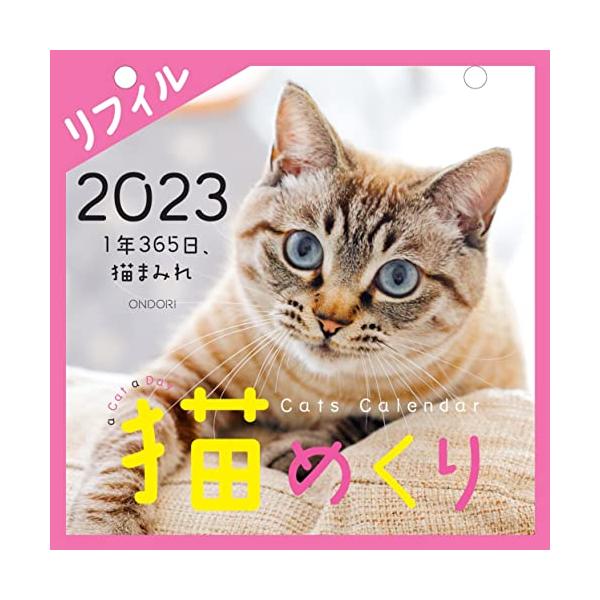 Cats Calendar 猫めくり リフィル: 1年365日、猫まみれ