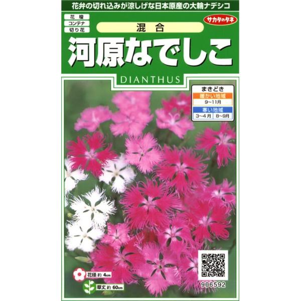 サカタのタネ 実咲花6592 河原なでしこ 混合 00906592 : Shining