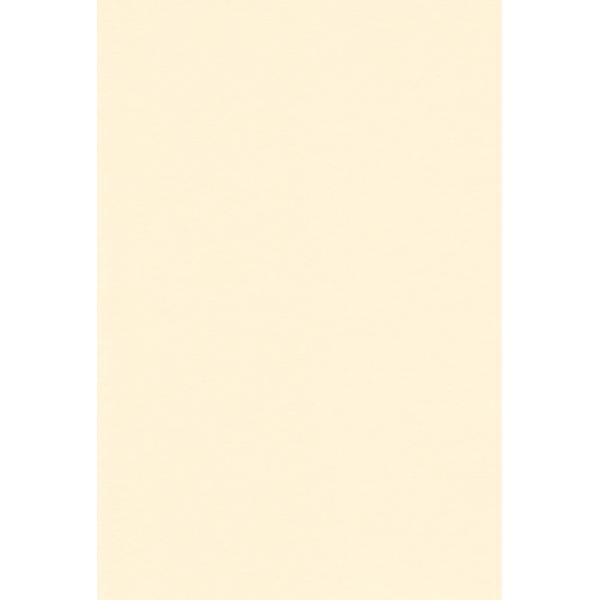 【ご購入後の当店からの連絡はご登録のメールアドレスに通知いたします。必ずご確認ください】【商品概要】21.0cm×29.7cm【商品説明】説明欲しい色が見つかる全61色適度な厚みとコシで様々な用途にて御使用いただけます。インクジェット、レー...