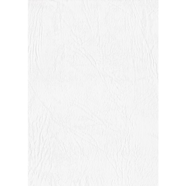 【ご購入後の当店からの連絡はご登録のメールアドレスに通知いたします。必ずご確認ください】【商品概要】21.0×29.7cm材質:パルプ・アシッドフリー【商品説明】【商品詳細】ブランド：エスケント商品種別：文房具・オフィス用品商品名：エスケン...