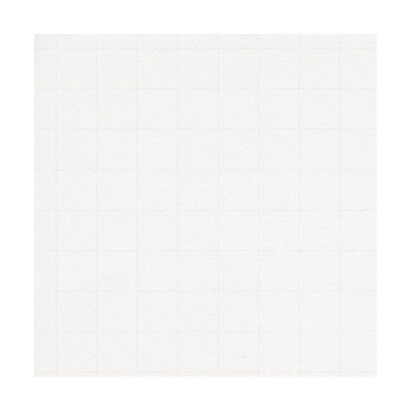 【ご購入後の当店からの連絡はご登録のメールアドレスに通知いたします。必ずご確認ください】【商品概要】271mm×392mm【商品説明】説明表面に1cmの方眼が印刷された色画用紙です。坪量:122g/m2紙厚:0.2mm寸法:8切判 271×...