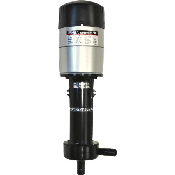 shiningtoday_s-b00ezhzstc-20240817