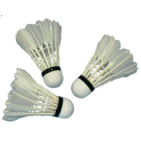 【ご購入後の当店からの連絡はご登録のメールアドレスに通知いたします。必ずご確認ください】【商品概要】発売年・モデルイヤー: 2017対象シーズン: all【商品説明】【商品詳細】ブランド：NatuRani商品種別：スポーツ＆アウトドア商品名...