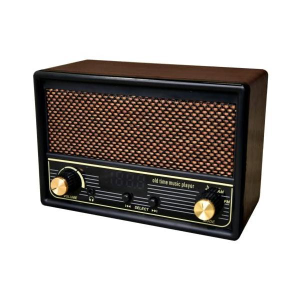 FESCO 唱歌ラヂオ DX100 AM/FMラジオ付き音楽プレイヤー SRDX-001