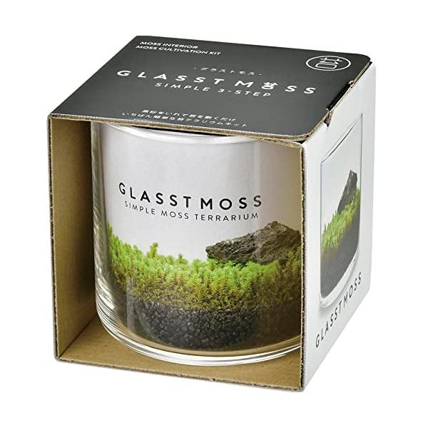 【ご購入後の当店からの連絡はご登録のメールアドレスに通知いたします。必ずご確認ください】【商品概要】商品サイズ:約8.5×8.1×8.6cmセット内容:ガラス鉢,スナゴケ,黒砂,溶岩石,説明書×各1砂を入れて、苔を敷いて、溶岩石をおくだけ　...