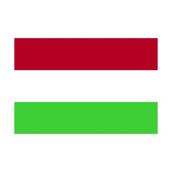 【ご購入後の当店からの連絡はご登録のメールアドレスに通知いたします。必ずご確認ください】【商品概要】●レザーハトメ加工（取付ひも付）●四方ミシン縫製【商品説明】【商品詳細】ブランド：東京製旗(Tokyo Seiki)商品種別：地図・国旗商品...