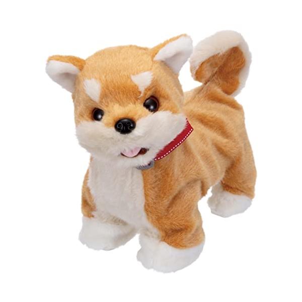 【ご購入後の当店からの連絡はご登録のメールアドレスに通知いたします。必ずご確認ください】イワヤ おいで!おいで!よってくる! 部屋ともワンちゃん 柴犬