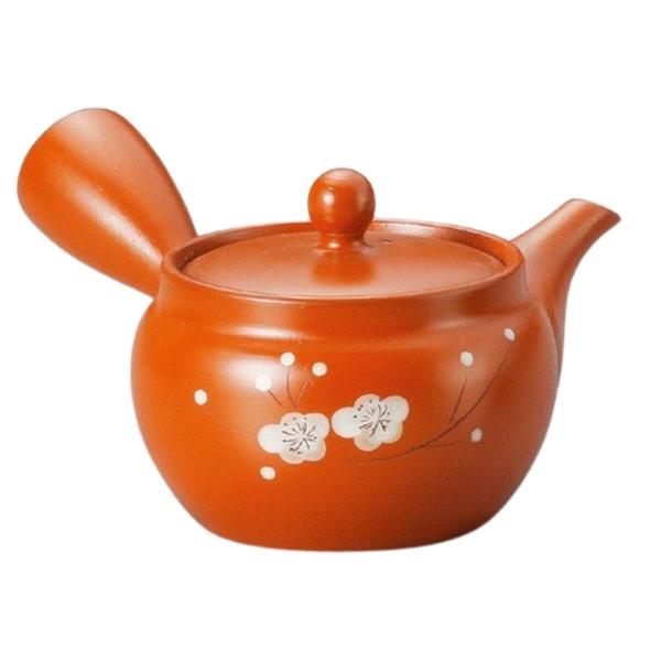 J-kitchens 急須 容量(約) 260cc （深蒸し急須/さわやか網急須）常滑焼 No:264273