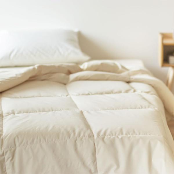 他サイト： 【ふとん工房 グーグ】羽毛肌掛けふとん リ・ニュー ダウン85% シングルサイズ 150cm×210cm 0.2kg ダウンケット 無地 単品 羽毛の商品画像