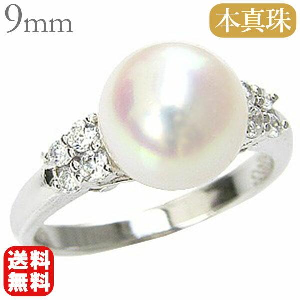 p[O ig p[ O v`i ^ w {^ Ԏ _Ch fB[X  tH[} v[g Mtg J  pu