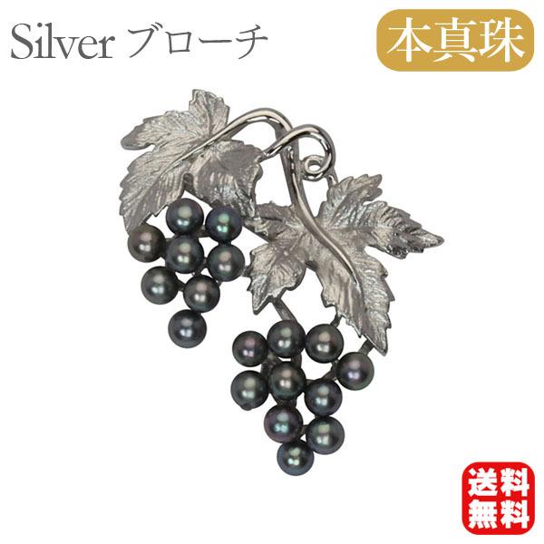 p[ u[` ^ tH[} {^  AR uhE Ԃǂ  Vo[  v[g Mtg  pu