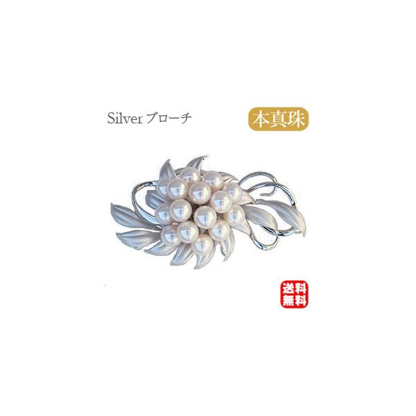 p[ u[` p[u[` tH[}^ RT[W {^ 8mm  tH[} v[g Mtg J  pu