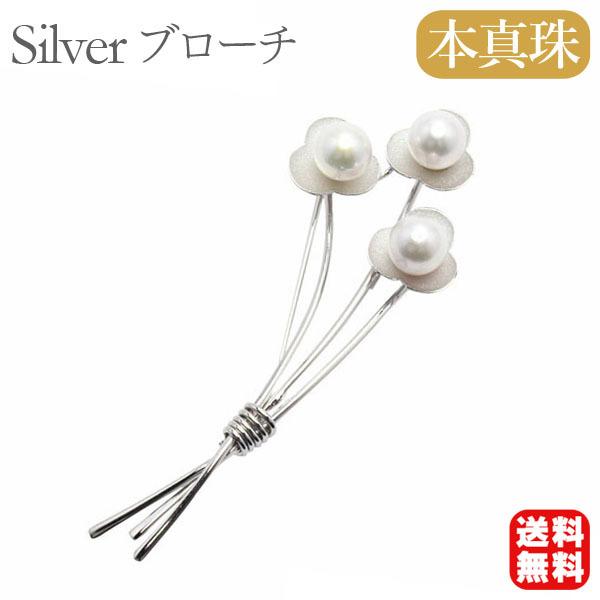 p[ u[` tH[} RT[W ԑ fB[X Zj[ ^ {^  AR  lC v[g Mtg J  pu