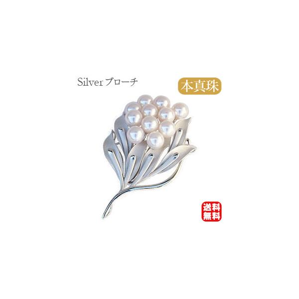 p[ u[` p[u[` tH[}  RT[W ^ {^ 7mm ԑ u[P T tH[}  v[g J  pu