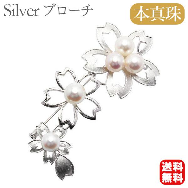 p[ u[` tH[} u[` ^u[` AR {^   TN  ^ v[g Mtg J  pu