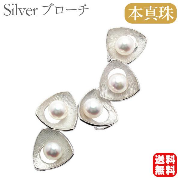 p[ u[` tH[} ^u[`  AR {^ 8mm Zj[ Ԃ v[g Mtg J  pu