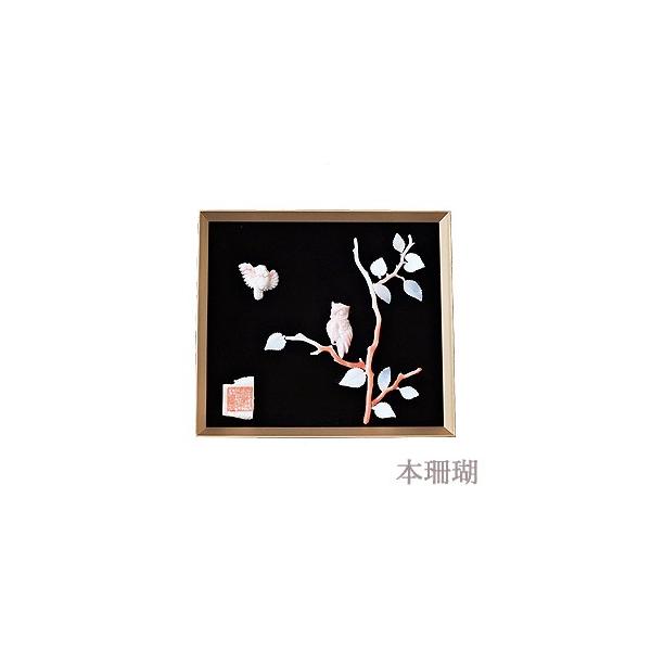 X TS R[  coral TS MΉ Y H|i pi zt _ N җj JXj  v[g Mtg pu