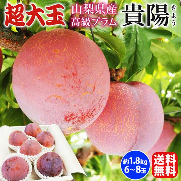 2021年秋冬新作 山梨県笛吹市産 高級すもも 貴陽 starehegirlscentre.sc.ke