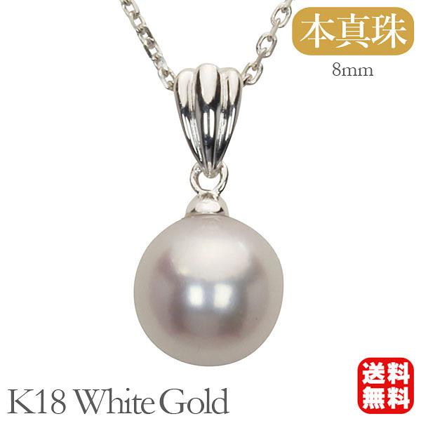 p[ y_ggbv k18 zCgS[h y_gwbh Y  WG[ JWA lC v[g Mtg J  pu