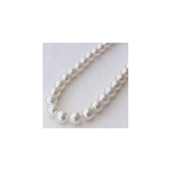 p[ lbNX p[lbNX ^lbNX  AR {^ 8-8.5mm   tH[} v[g Mtg J 