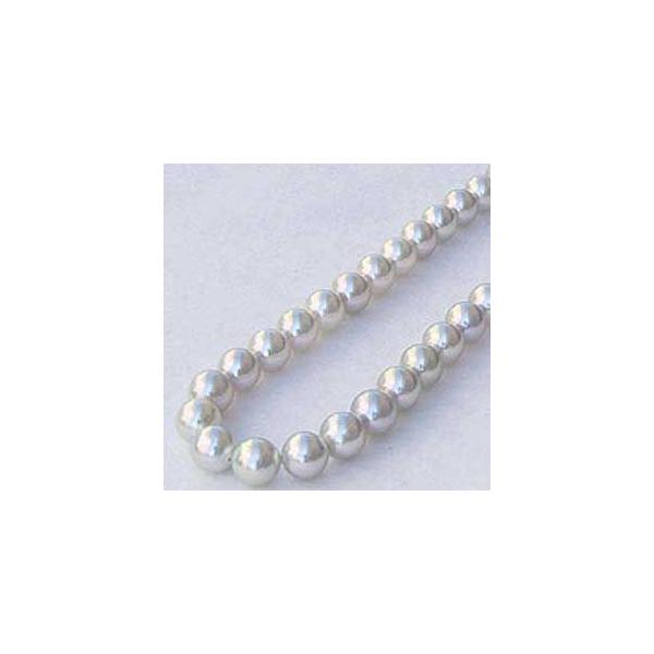 p[ lbNX ^lbNX {^  AR i` 8-8.5mm  tH[} v[g Mtg J 