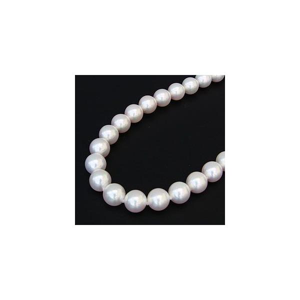 p[ lbNX  p[lbNX ^ lbNX { Zj[ tH[}  [ lC v[g Mtg J 